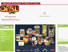 Tablet Screenshot of opal-export.com